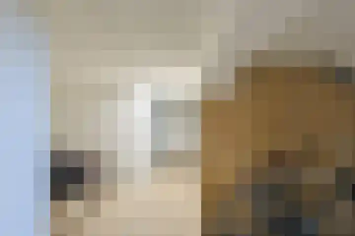 Henri Hermanslaan 200 Geleen thumbnail 20