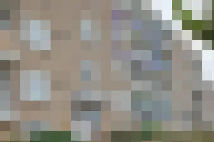 Henri Hermanslaan 200 Geleen thumbnail 6