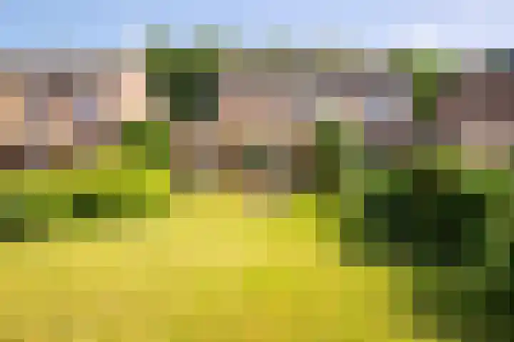 Henri Hermanslaan 245 Geleen thumbnail 17