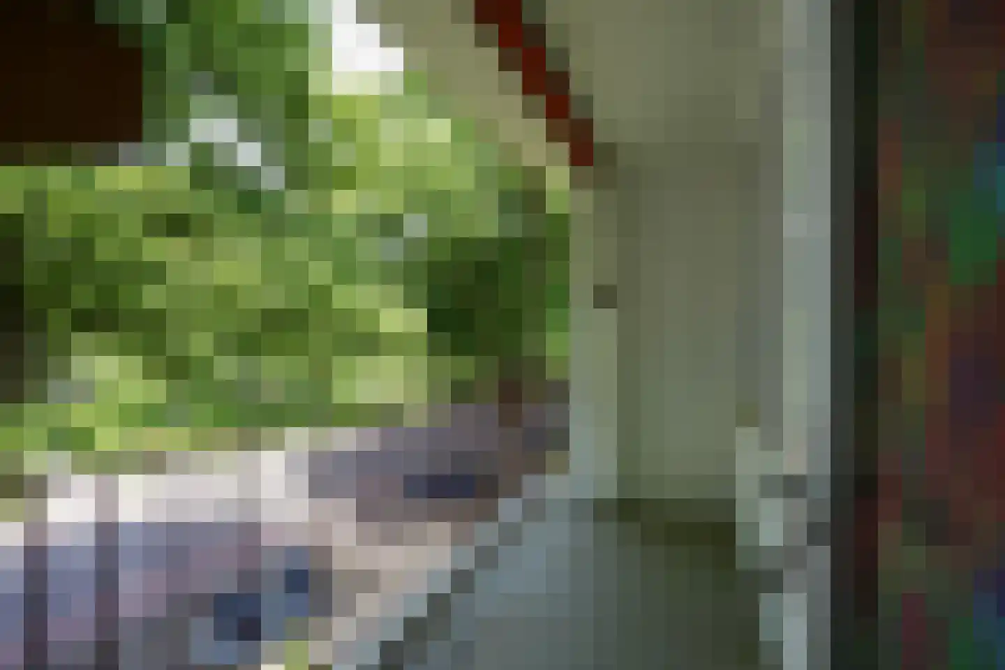 Henri Hermanslaan 314 Geleen thumbnail 16