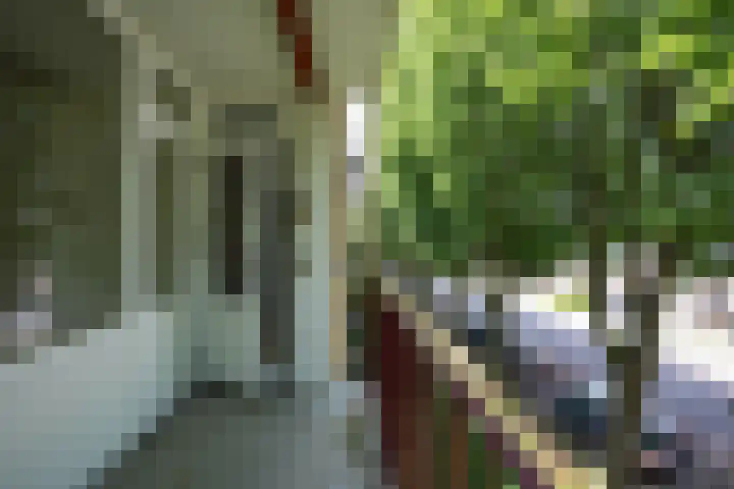 Henri Hermanslaan 314 Geleen thumbnail 17