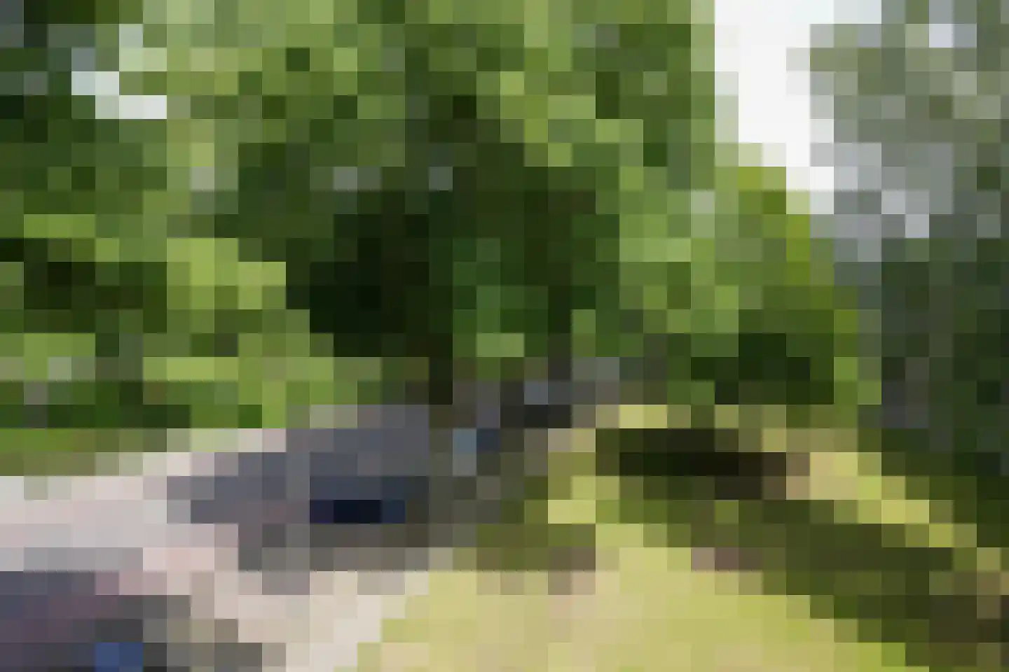 Henri Hermanslaan 314 Geleen thumbnail 18