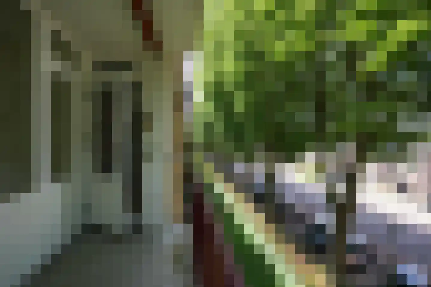 Henri Hermanslaan 314 Geleen thumbnail 19