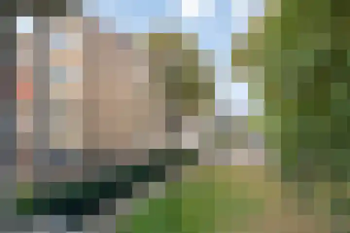 Henri Hermanslaan 336 Geleen thumbnail 9