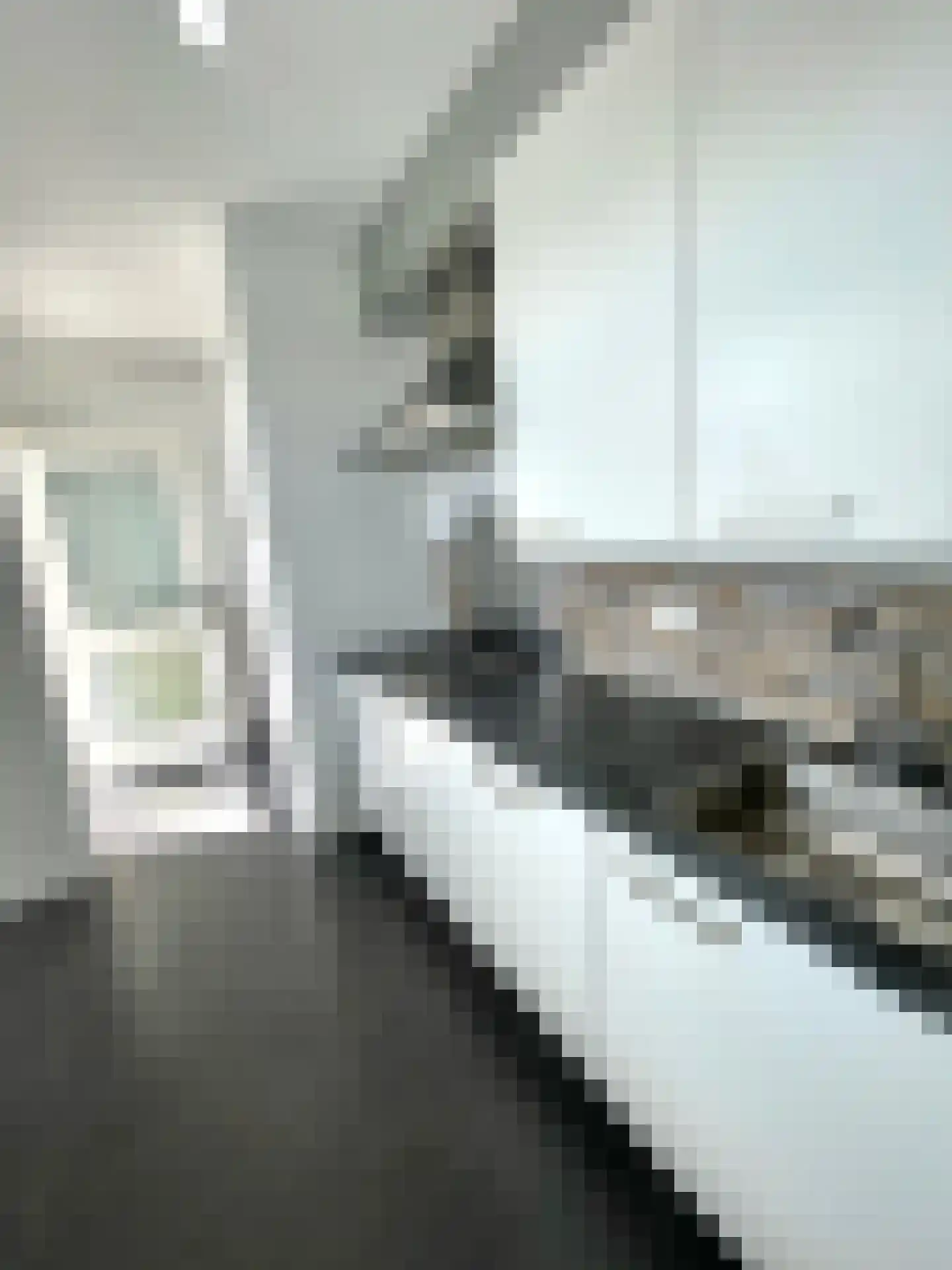 Henri Hermanslaan 354 Geleen thumbnail 30