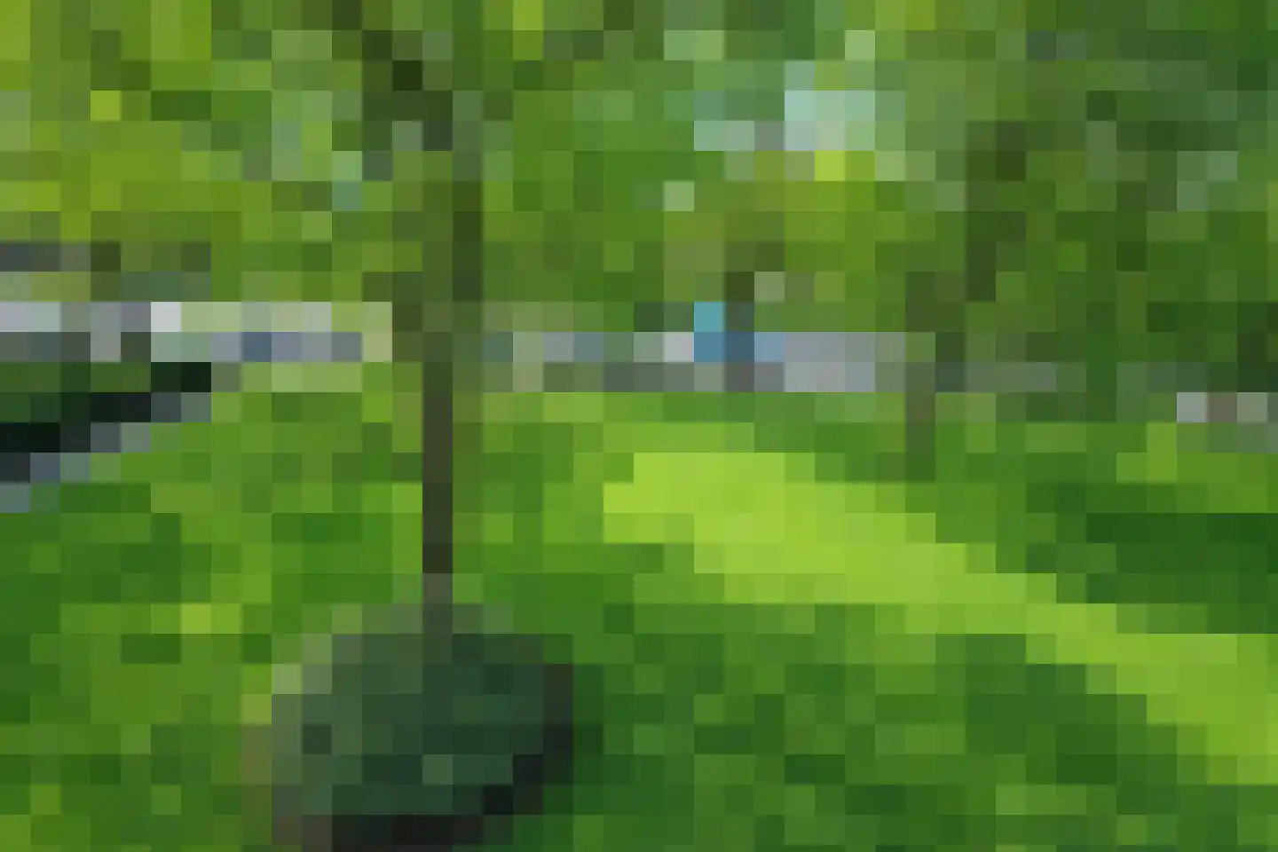Henri Hermanslaan 354 Geleen thumbnail 35