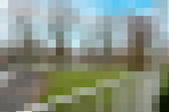 Henri Hermanslaan 402 Geleen thumbnail 30