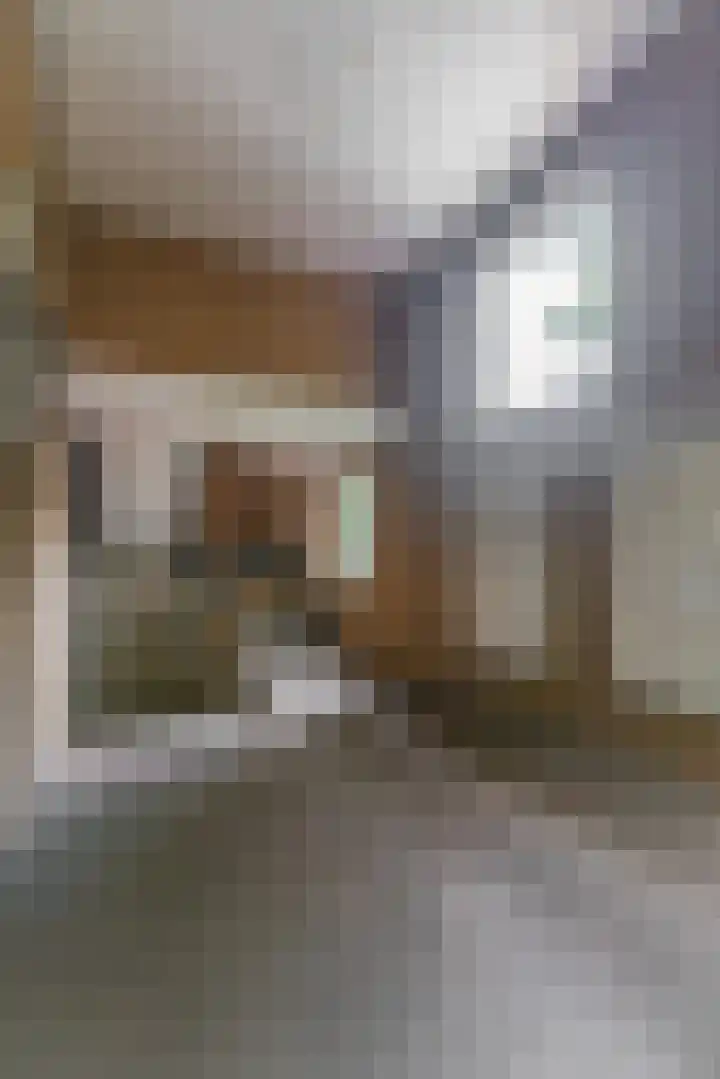 Henri Hermanslaan 420 Geleen thumbnail 20
