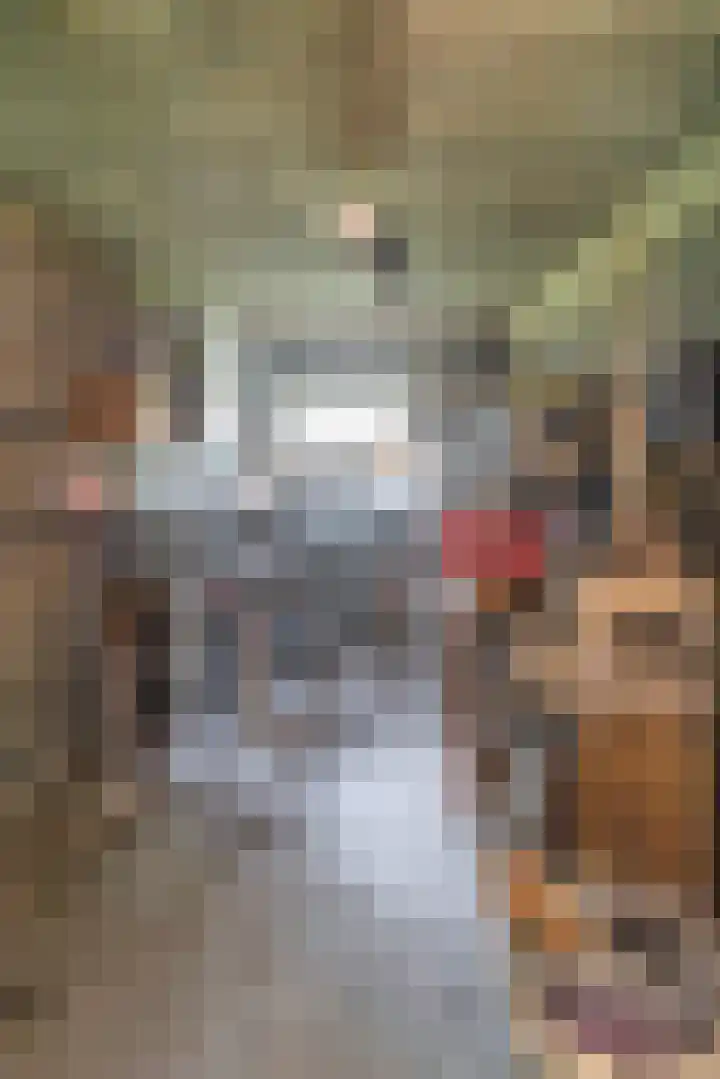Henri Hermanslaan 420 Geleen thumbnail 24