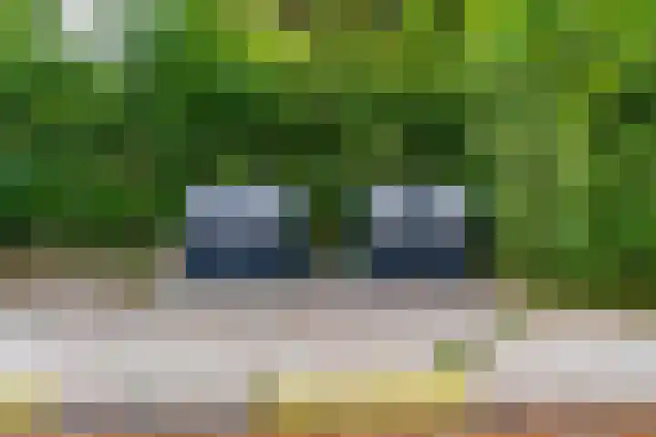 Henri Hermanslaan 420 Geleen thumbnail 28