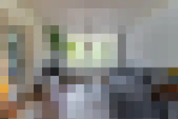 Henri Hermanslaan 420 Geleen thumbnail 6