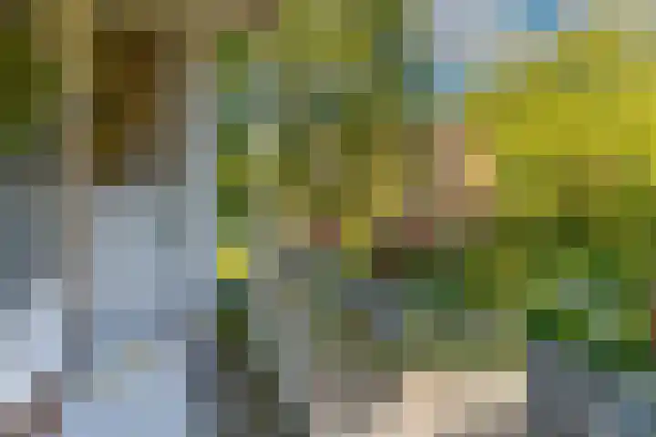 Henri Hermanslaan 420 Geleen thumbnail 7