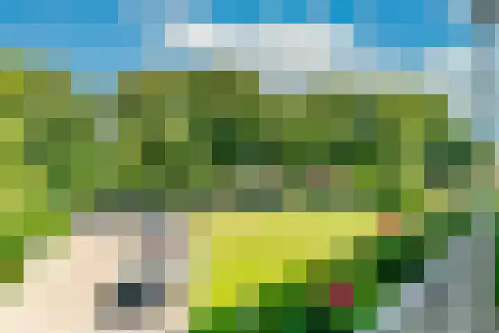Henri Hermanslaan 420 Geleen thumbnail 9