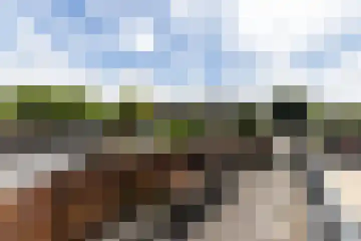 Henri Hermanslaan 44 Geleen thumbnail 27