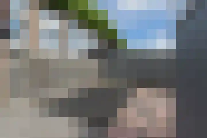 Henri Hermanslaan 44 Geleen thumbnail 29