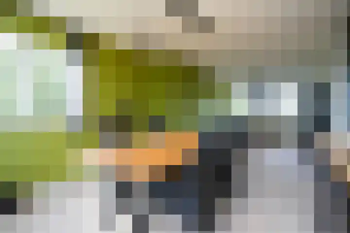 Henri Hermanslaan 486 Geleen thumbnail 10