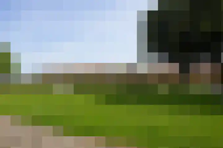 Henri Hermanslaan 486 Geleen thumbnail 23