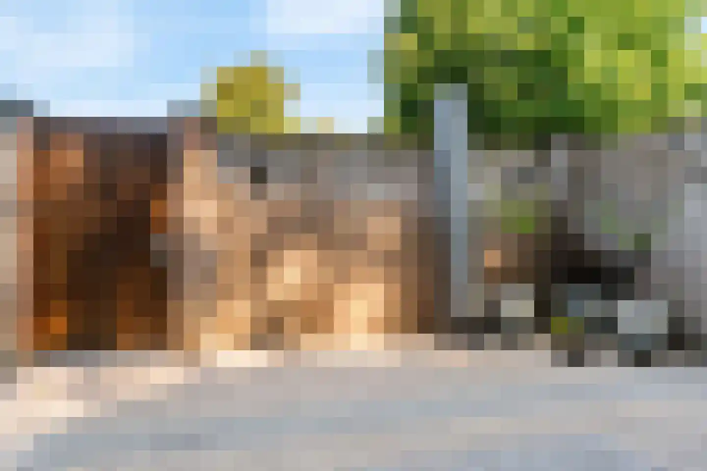 Henri Hermanslaan 63 Geleen thumbnail 27