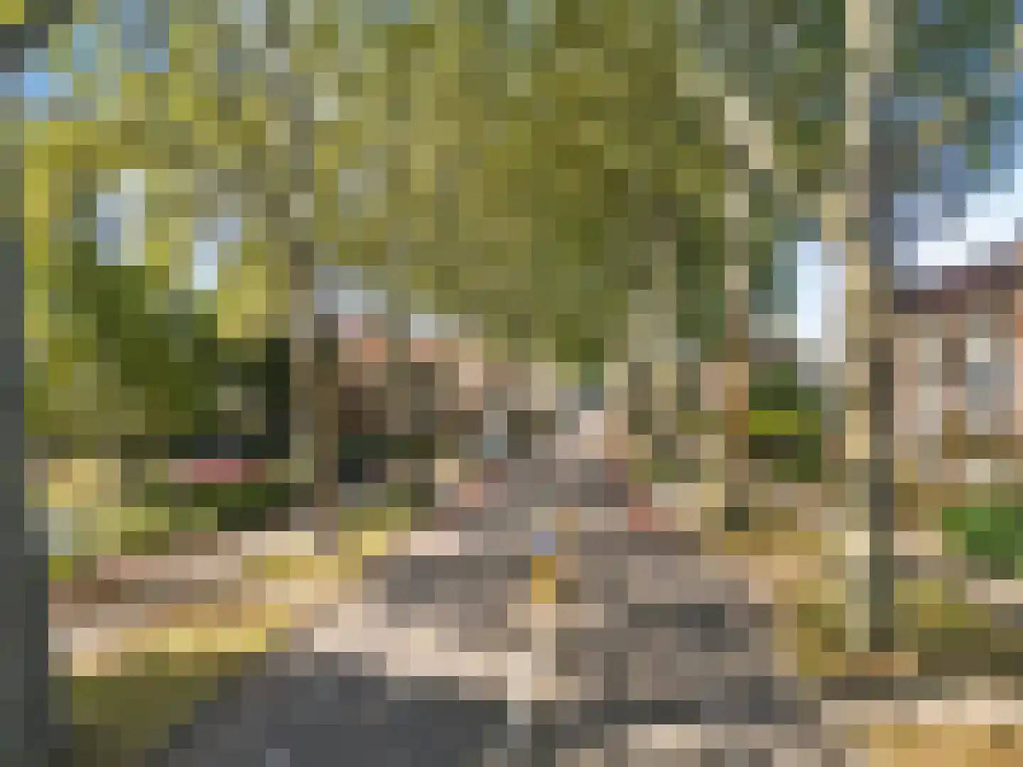 Henri Hermanslaan 63 Geleen thumbnail 32