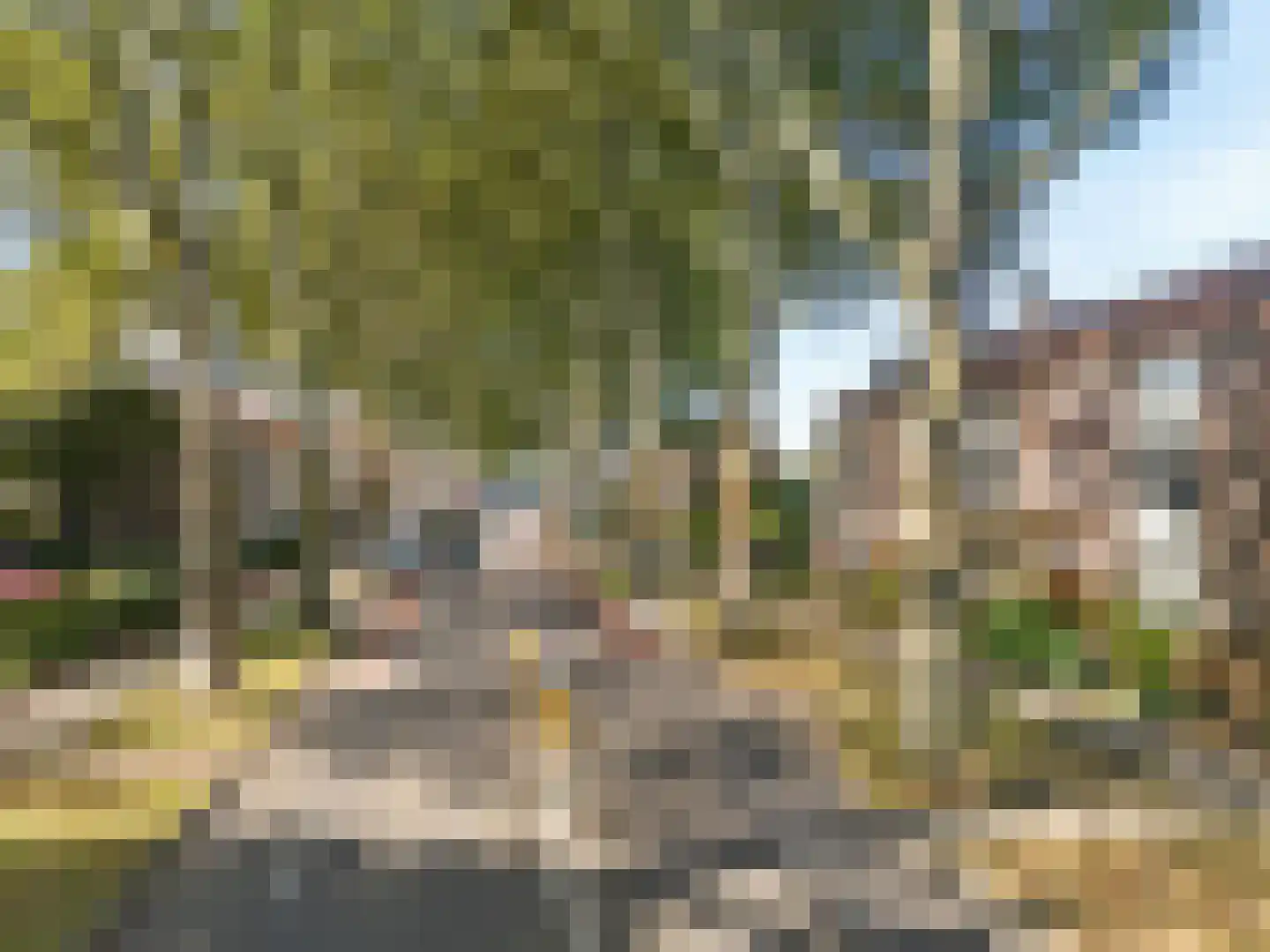 Henri Hermanslaan 63 Geleen thumbnail 34