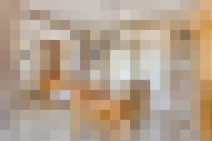 Henri Hermansstraat 12 Urmond thumbnail 13