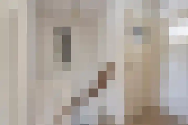 Henri Hermansstraat 12 Urmond thumbnail 18