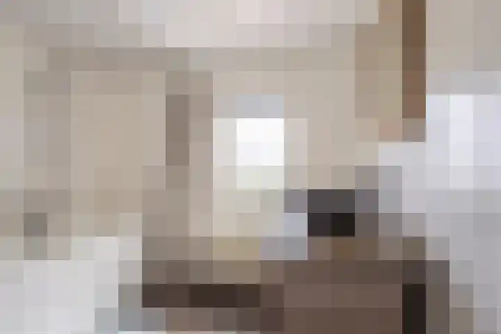 Henri Hermansstraat 12 Urmond thumbnail 21