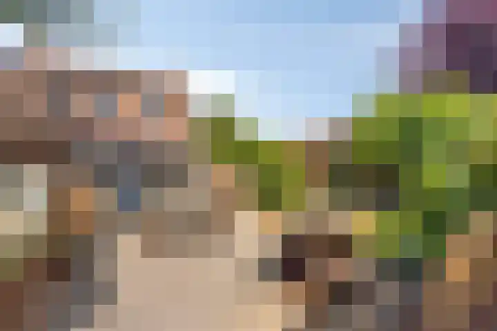 Henri Hermansstraat 12 Urmond thumbnail 26