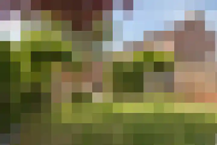 Henri Hermansstraat 12 Urmond thumbnail 28