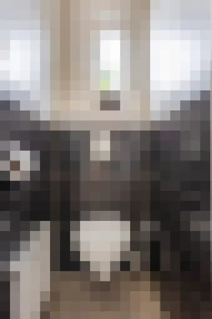 Henri Hermansstraat 12 Urmond thumbnail 8