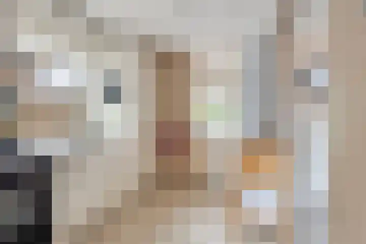 Henri Hermansstraat 12 Urmond thumbnail 9