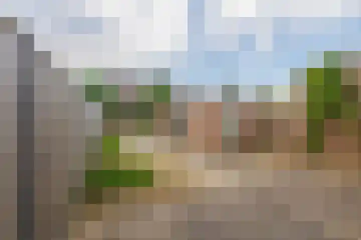 Henri Hermansstraat 14 Tegelen thumbnail 17