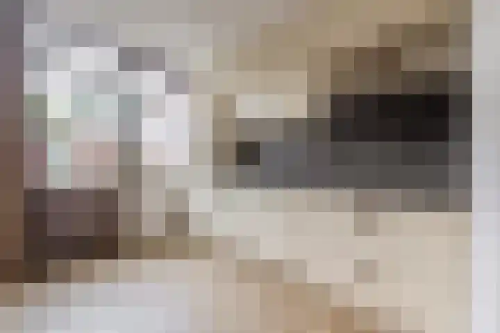 Henri Hermansstraat 14 Tegelen thumbnail 5