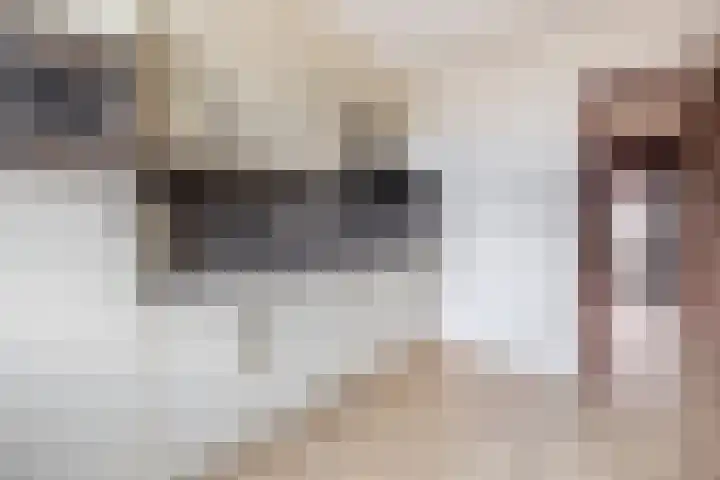 Henri Hermansstraat 14 Tegelen thumbnail 6