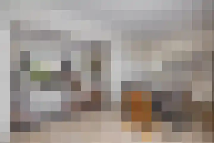 Henri Hermansstraat 23 Tegelen thumbnail 9