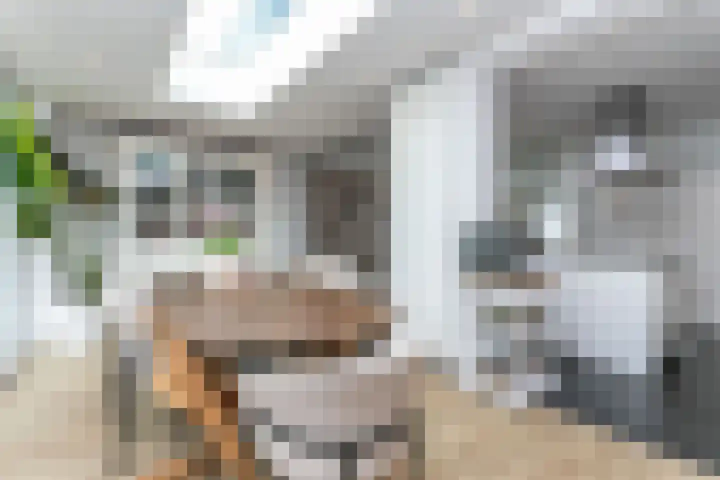 Henri Hermansstraat 30 Nuth thumbnail 15