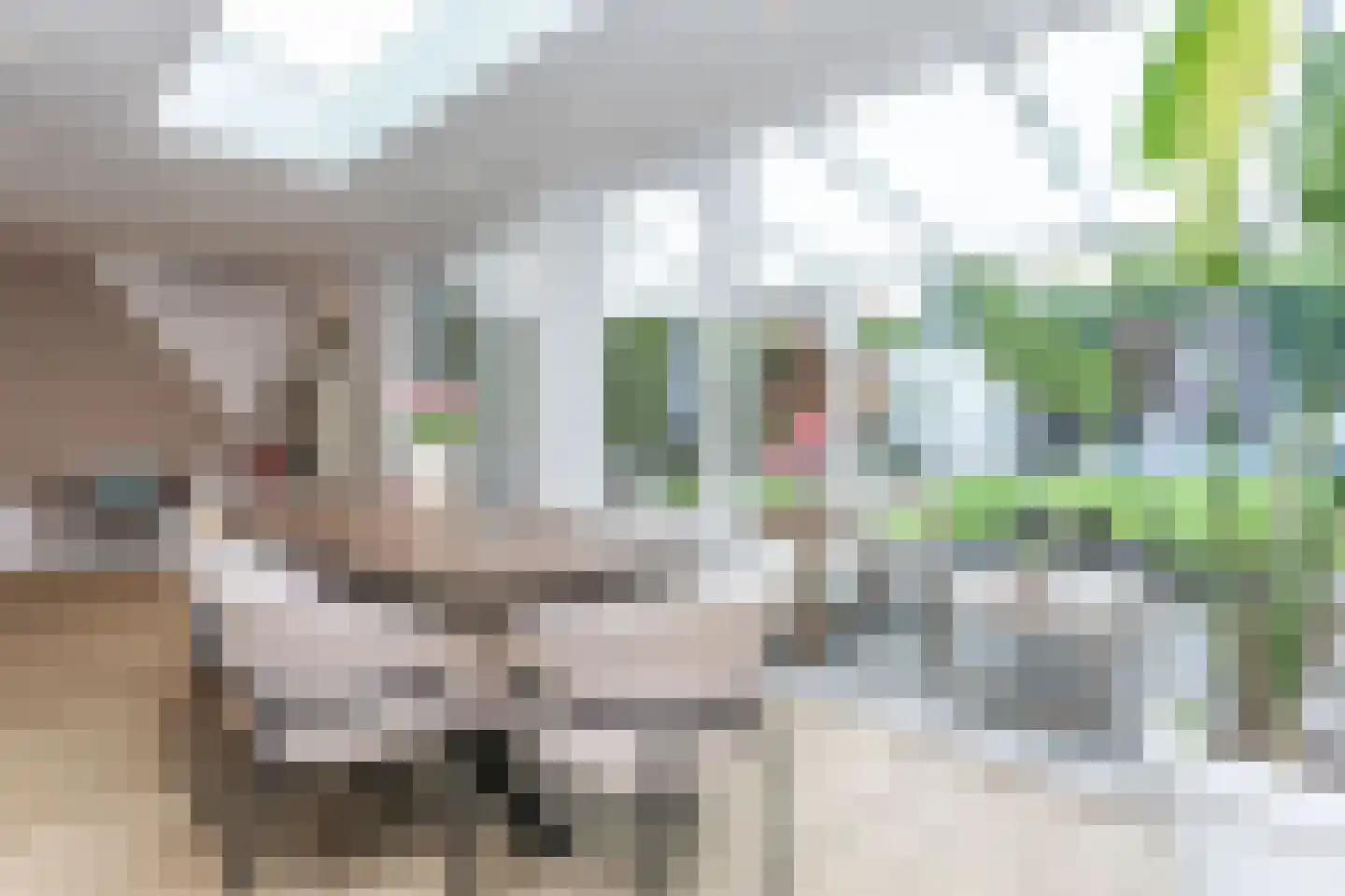 Henri Hermansstraat 30 Nuth thumbnail 16