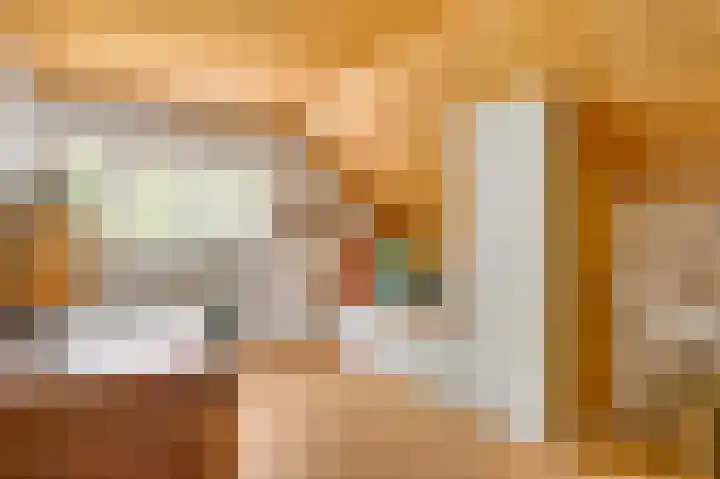 Henri Jonaslaan 4 Herkenbosch thumbnail 17