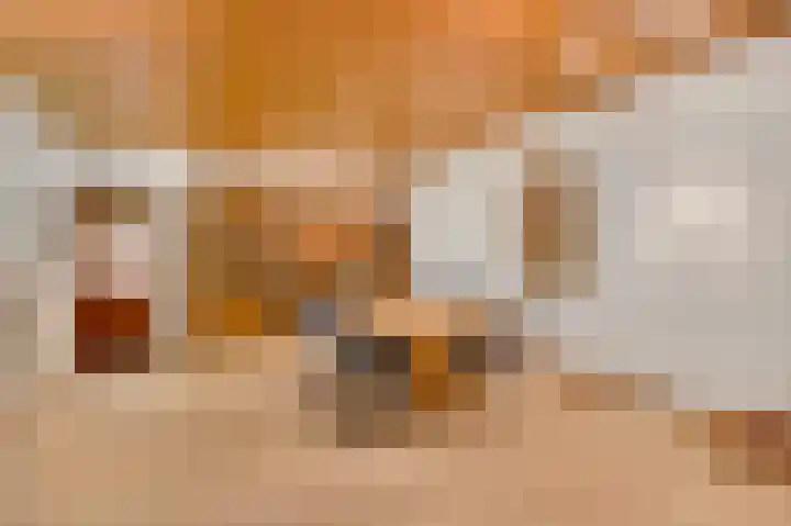 Henri Jonaslaan 4 Herkenbosch thumbnail 18