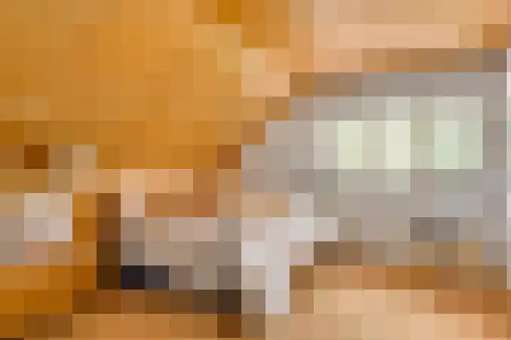Henri Jonaslaan 4 Herkenbosch thumbnail 20