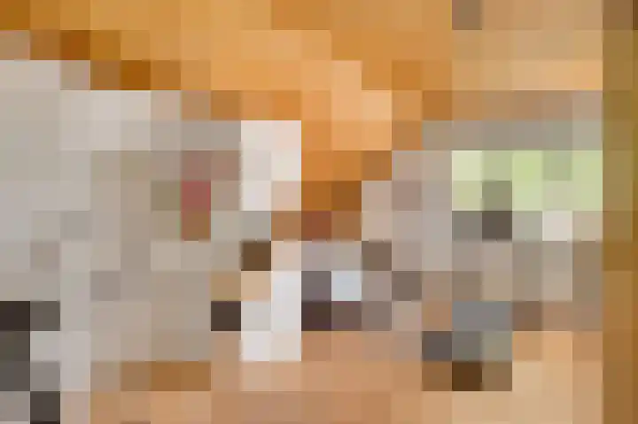 Henri Jonaslaan 4 Herkenbosch thumbnail 21