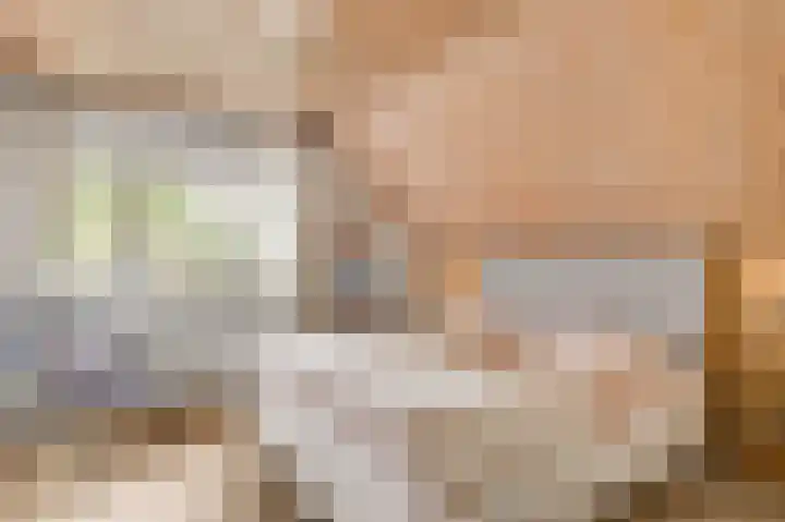 Henri Jonaslaan 4 Herkenbosch thumbnail 22