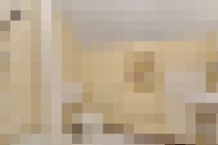 Henri Jonaslaan 4 Herkenbosch thumbnail 23
