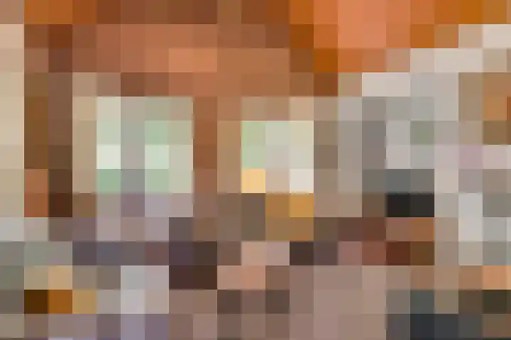 Henri Jonaslaan 4 Herkenbosch thumbnail 30