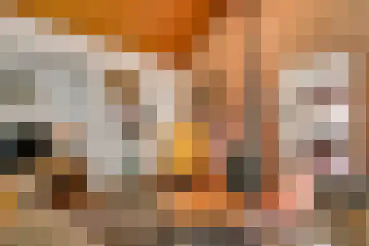 Henri Jonaslaan 4 Herkenbosch thumbnail 32