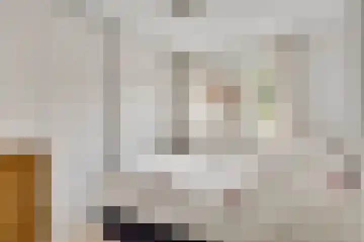 Henri Jonaslaan 4 Herkenbosch thumbnail 33