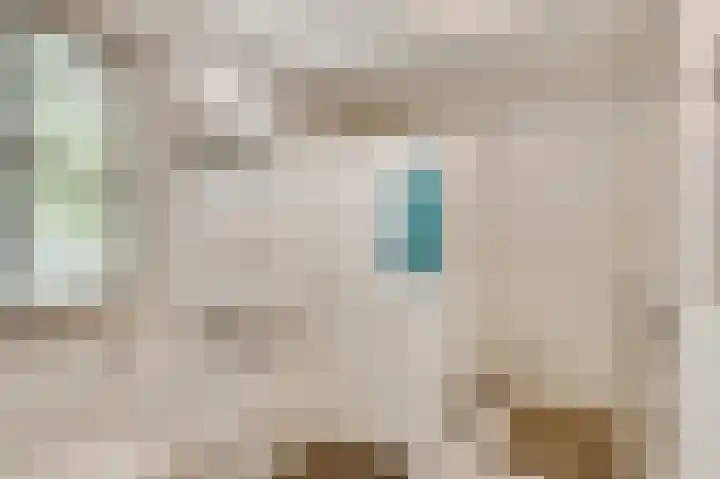 Henri Jonaslaan 4 Herkenbosch thumbnail 34