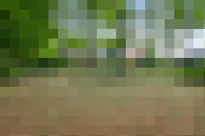Henri Jonaslaan 4 Herkenbosch thumbnail 37