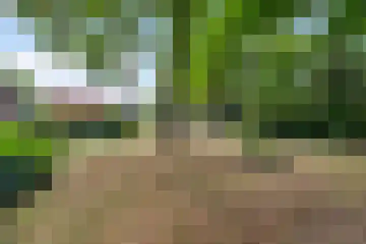 Henri Jonaslaan 4 Herkenbosch thumbnail 38