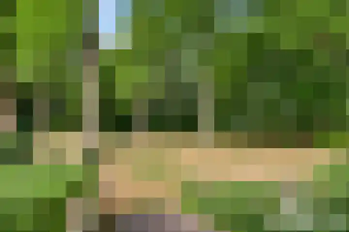 Henri Jonaslaan 4 Herkenbosch thumbnail 4